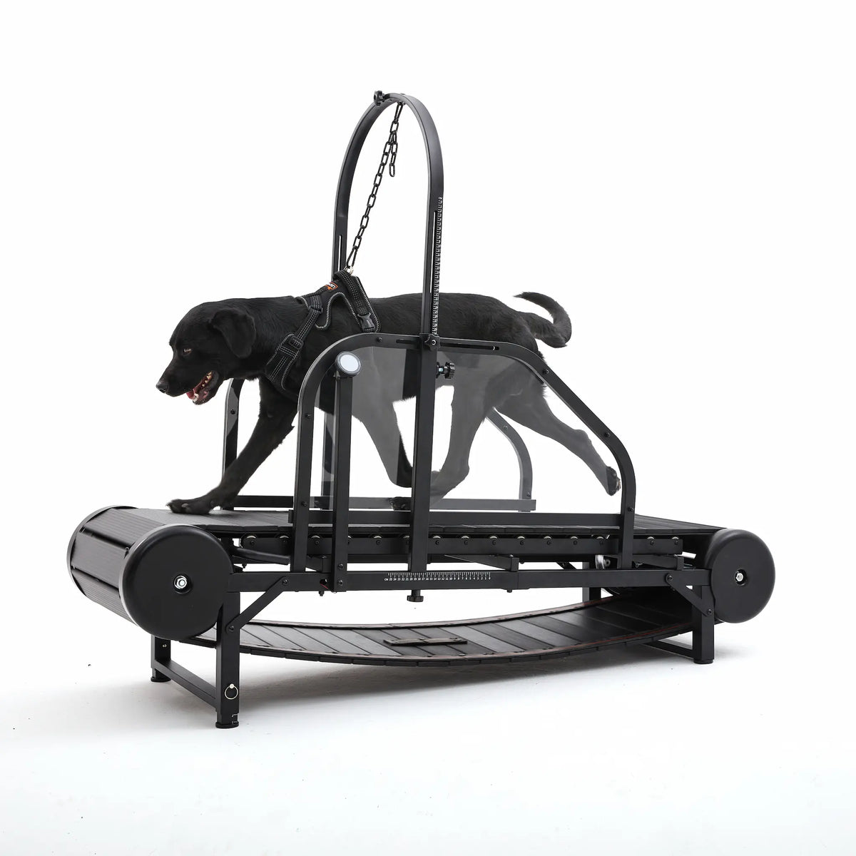 Best Treadmill for Dogs | Top Dog Treadmills for Exercise - Fitdogo